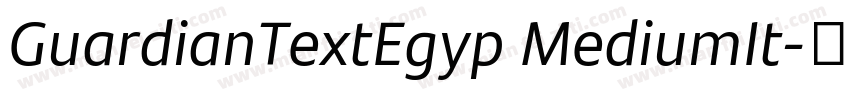GuardianTextEgyp MediumIt字体转换